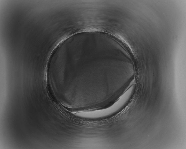 X0000096381173200802211115