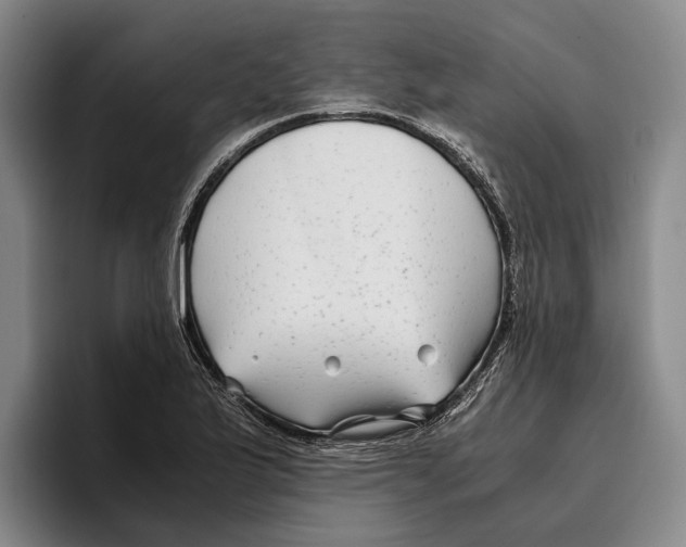 X0000096381175200802211115