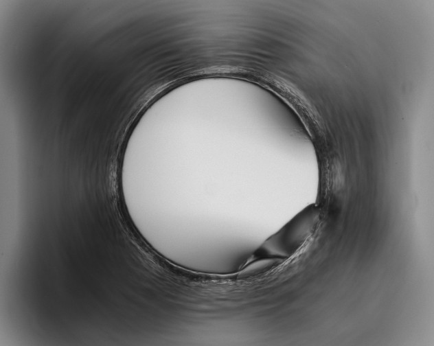 X0000096381177200802211115