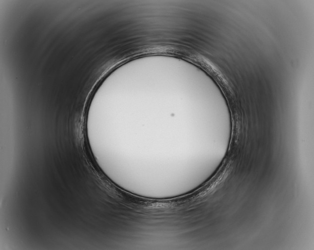 X0000096381178200802211115