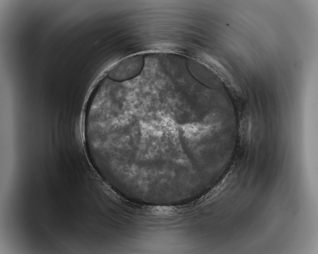 X0000096381180200802211115