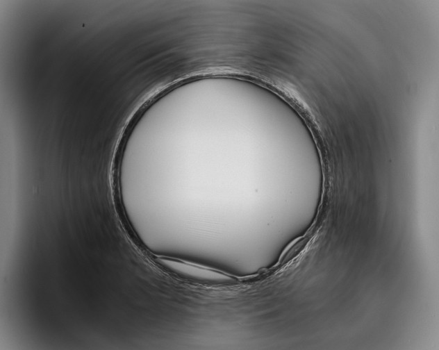 X0000096381181200802211115