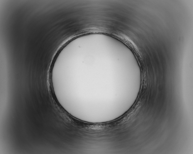 X0000096381182200802211115