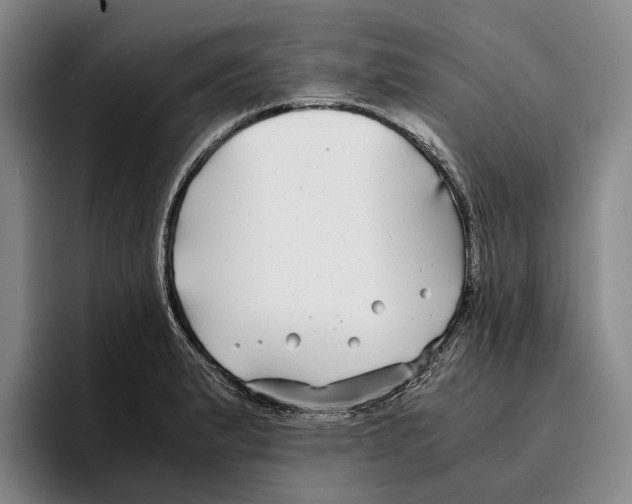 X0000096381183200802211115