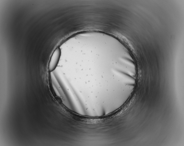 X0000096381184200802211115