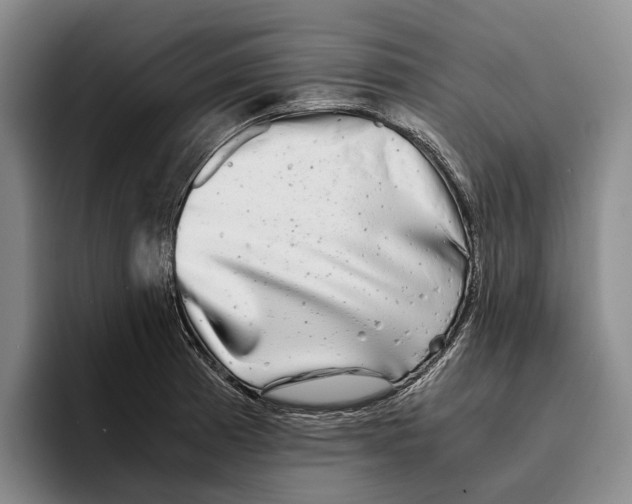 X0000096381185200802211115