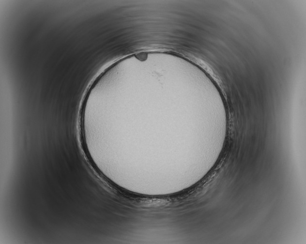 X0000096381187200802211115