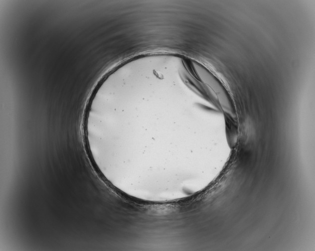 X0000096381189200802211115