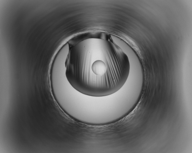 X0000096381192200802211115