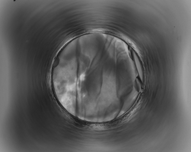 X0000096381194200802211115