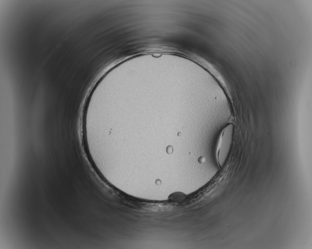 X0000096381195200802211115