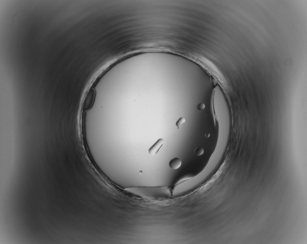 X0000096381196200802211115