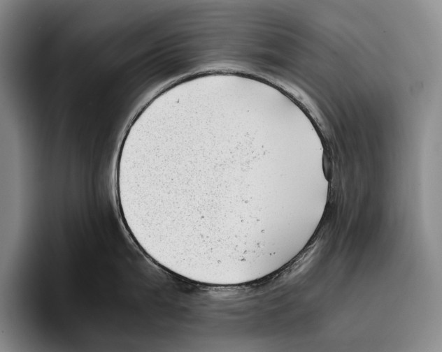 X0000096381199200802211115