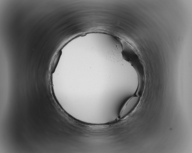 X0000096381200200802211115