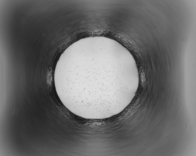 X0000096381204200802211114