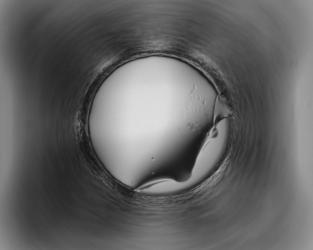 X0000096381210200802211114