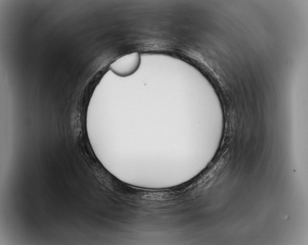 X0000096381211200802211114