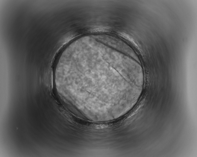 X0000096381219200802211114