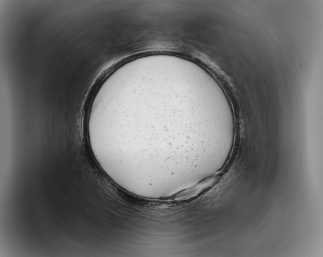 X0000096381222200802211114