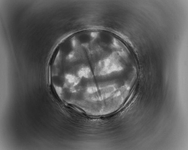 X0000096381223200802211114