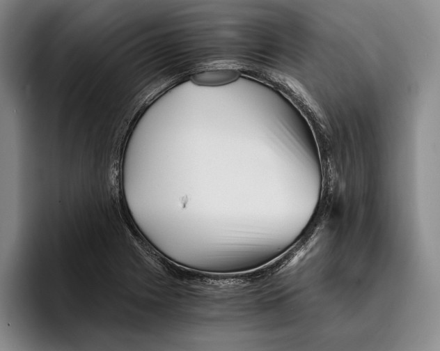 X0000096381225200802211114