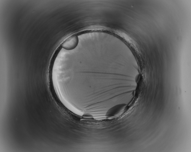 X0000096381229200802211115