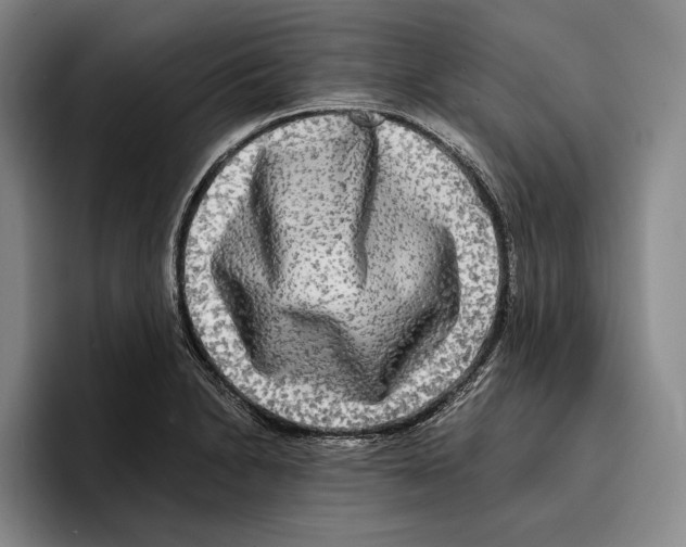 X0000096381230200802211115