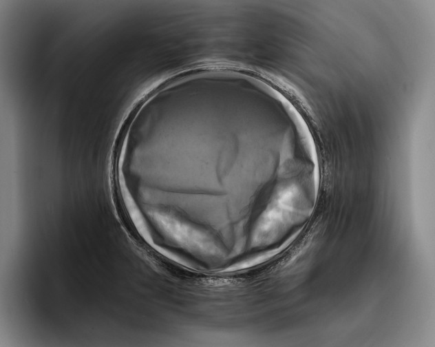 X0000096381231200802211115