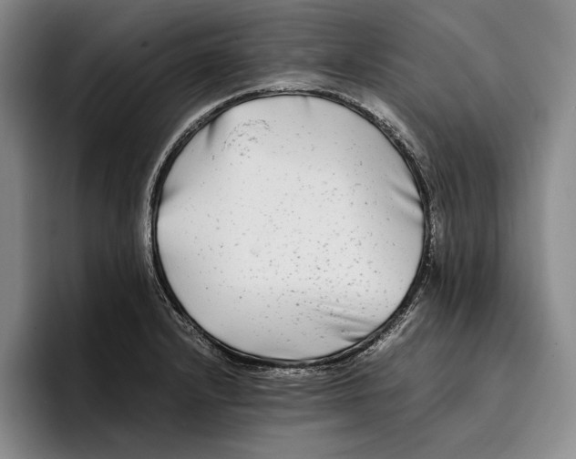 X0000096381232200802211115