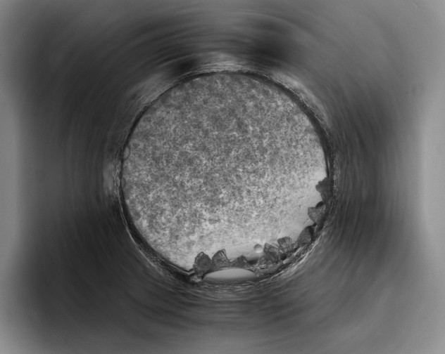 X0000096381233200802211115