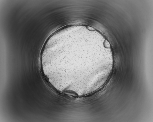 X0000096381234200802211115