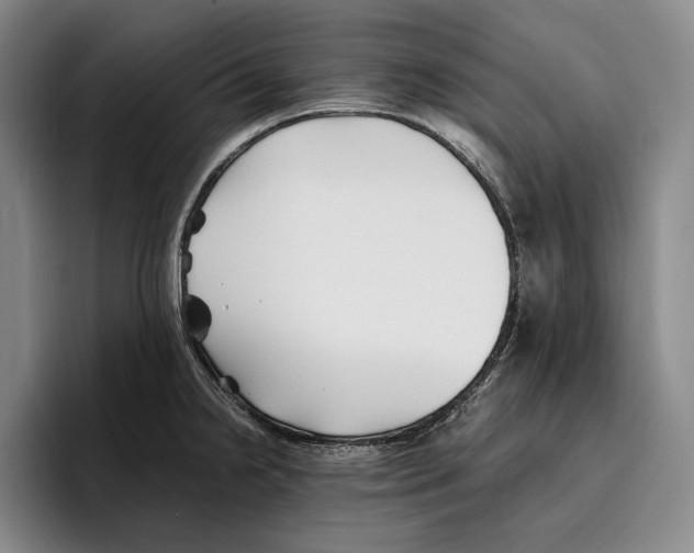 X0000096381238200802211115