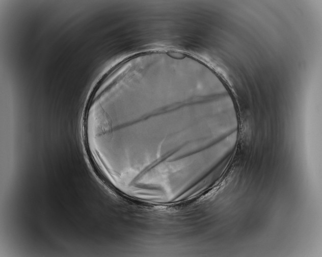 X0000096381239200802211115