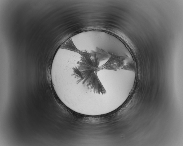 X0000096381241200802211115