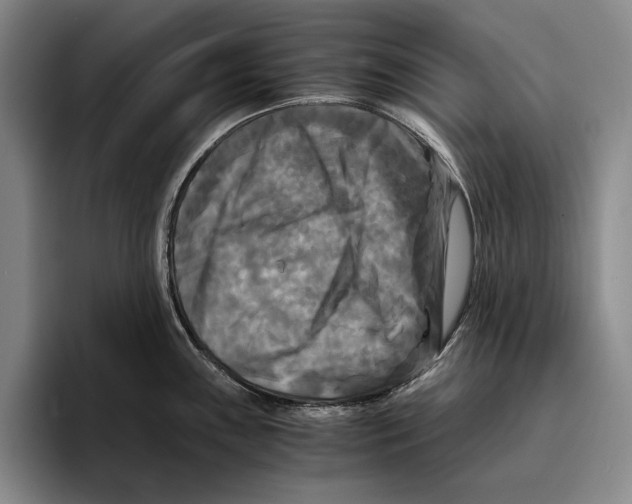 X0000096381243200802211115