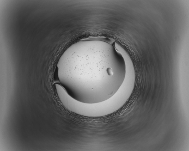 X0000096381249200802211114