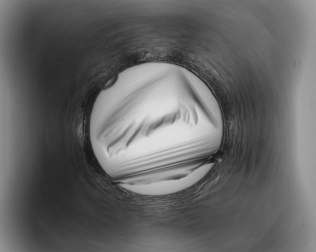 X0000096381250200802211114