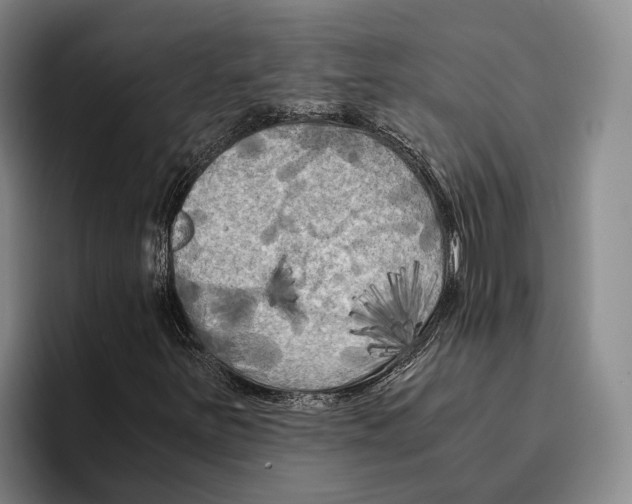 X0000096381251200802211114