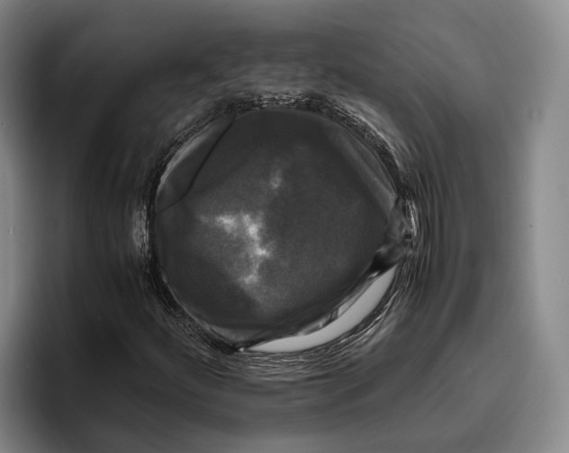 X0000096381252200802211114