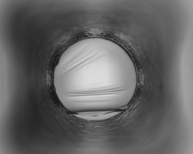 X0000096381253200802211114