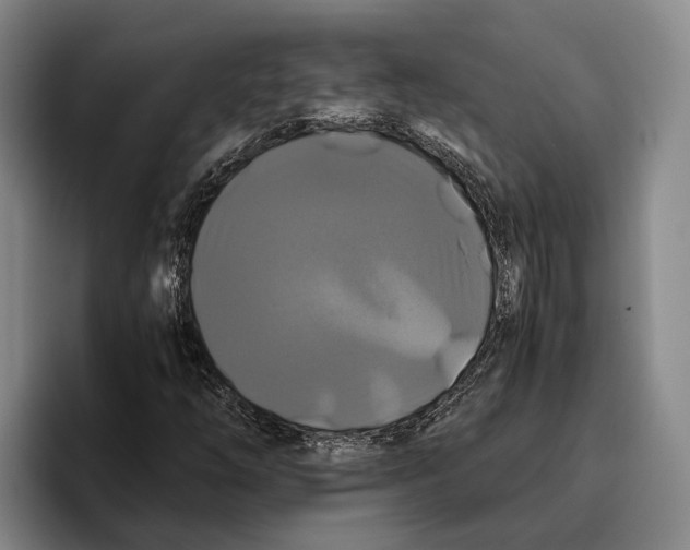 X0000096381254200802211114