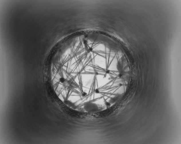 X0000096381255200802211114
