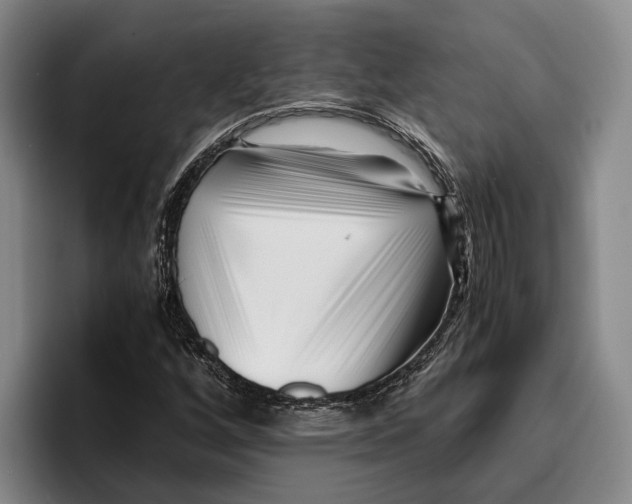 X0000096381256200802211114