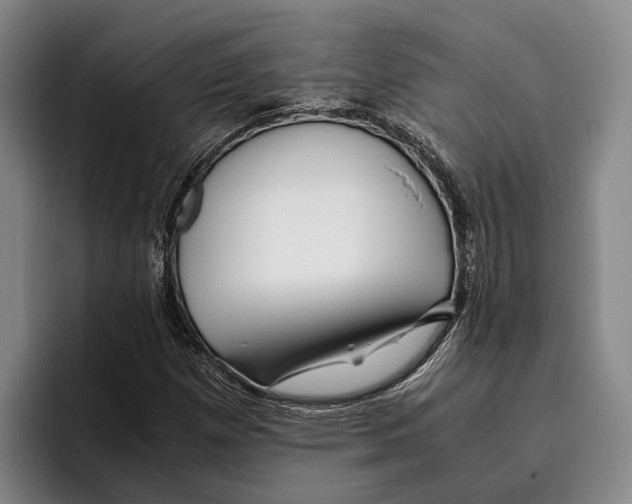 X0000096381257200802211114