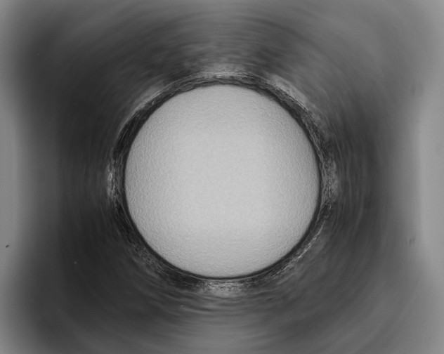 X0000096381258200802211114