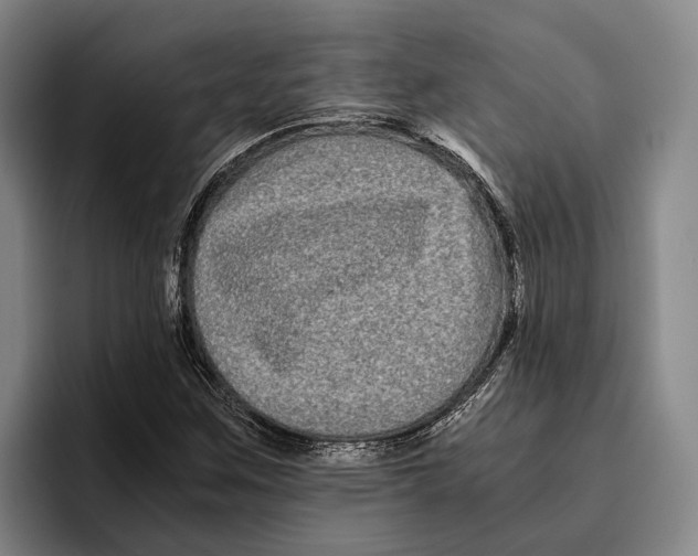 X0000096381259200802211114