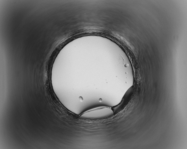 X0000096381261200802211114