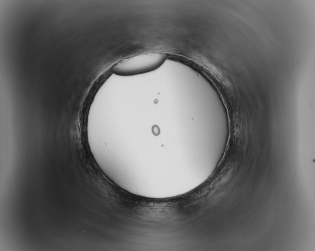 X0000096381264200802211114