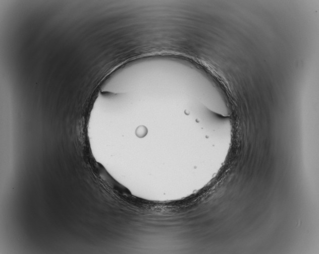 X0000096381265200802211114