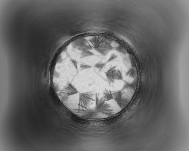 X0000096381267200802211114